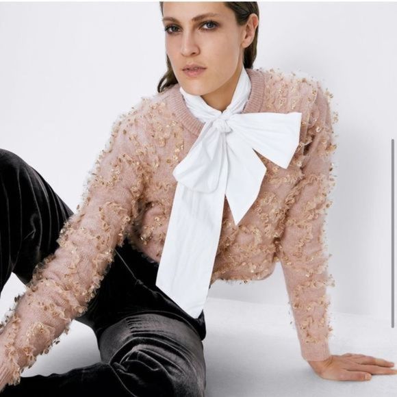 Zara Sweaters - Zara size small ruffle sweater with glitter